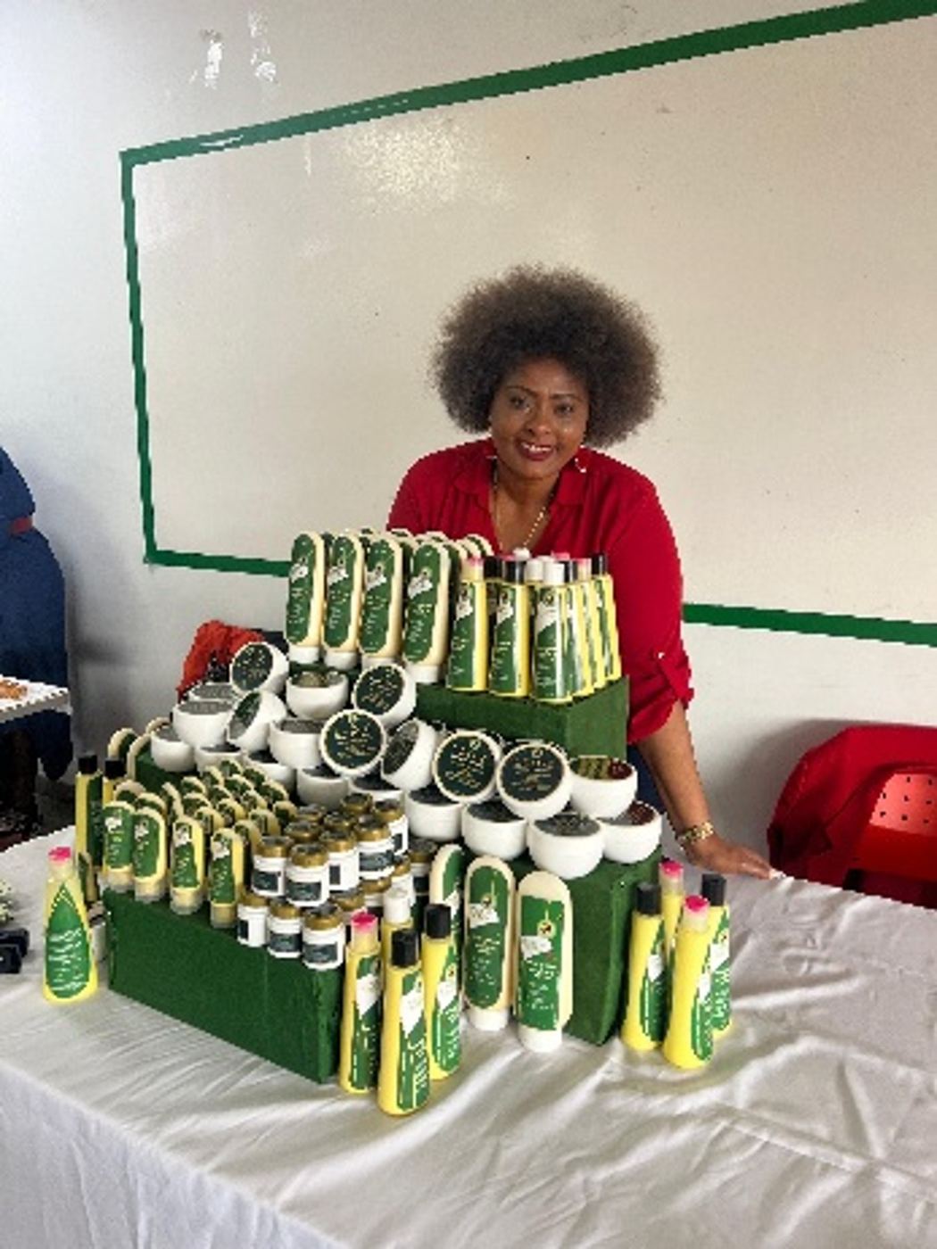 Misión Desarrollo Económico · Impulsando Negocios Afro-Femeninos