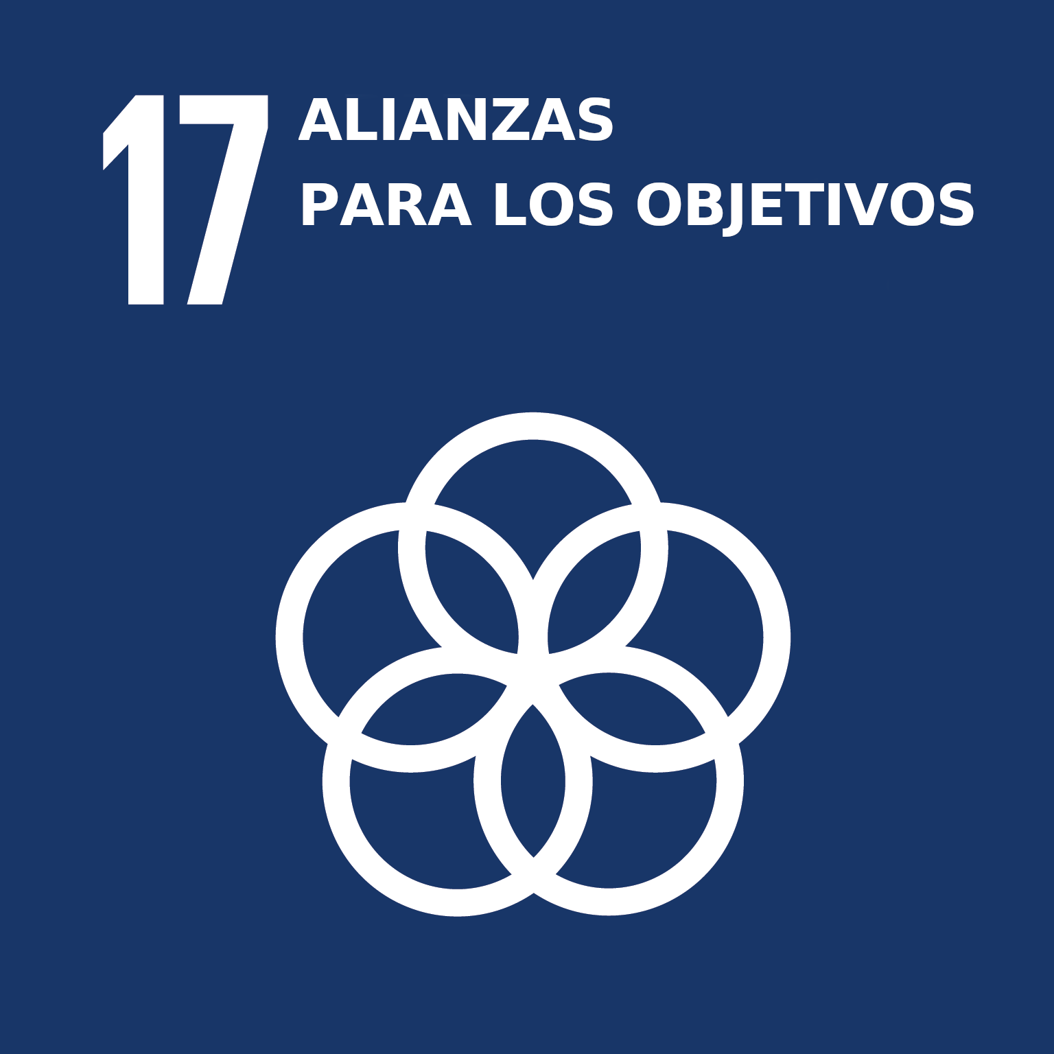 ODS 17 - Alianzas para los objetivos